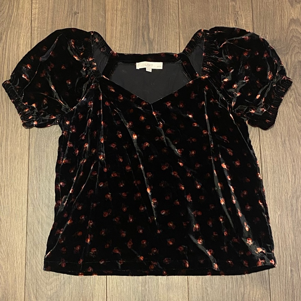 NWOT Loft velour blouse